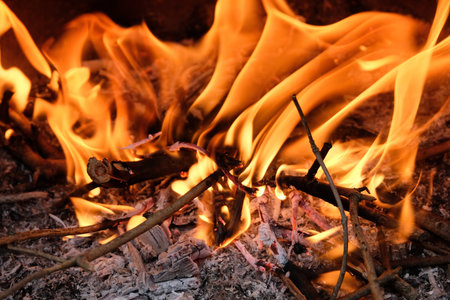 Close-up fire with flames and embers