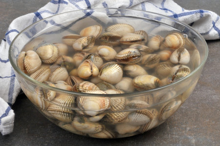 Cockles disgorging in a salad bowl