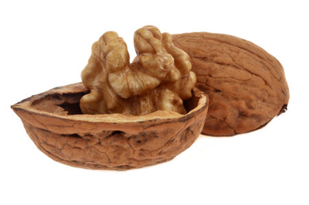 Open walnut close up on white backgroundの写真素材
