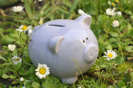 Piggy bank in the grass with daisies in the backgroundの写真素材