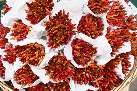 Bunches of small red peppers seen from aboveの写真素材