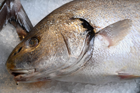 Cod head on the ice of a fishmonger's stall close-up
