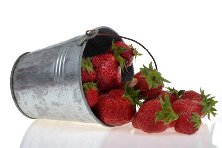 Tin bucket full of spilled strawberries close-up on white backgroundの写真素材