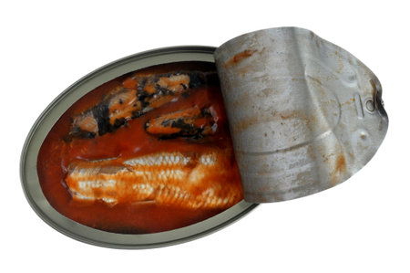 Open can of herring fillets in tomato sauce top view closeup isolated on white backgroundの写真素材