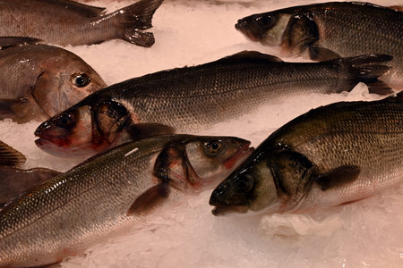Sea bass on ice at a fishmonger's stall