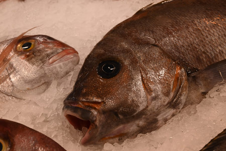 Black sweetlips and sea bream heads in close-up on ice on a fishmonger's stall