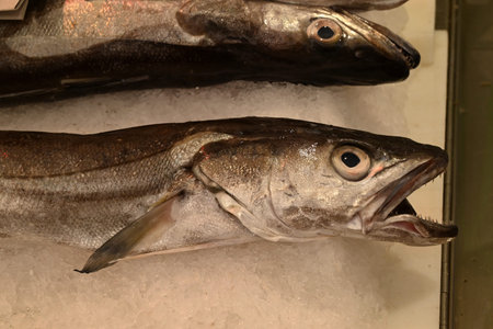 Hake on ice at a fishmonger's stall closeup