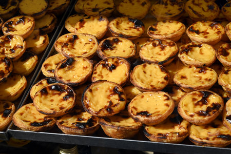 PastÃ©is de nata window display in a Lisbon storeの写真素材