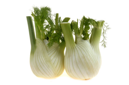 Fresh raw fennel close-up isolated on white backgroundの写真素材