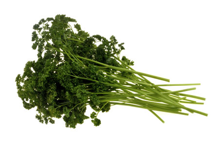 Fresh parsley sprigs closeup isolated on white backgroundの写真素材
