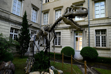 Dinosaur skeleton in the courtyard of the Nimes Natural History Museumの写真素材