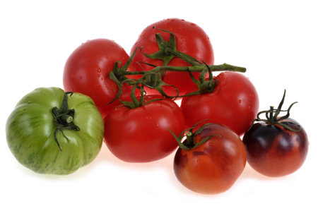 Assortment of tomatoes close-up isolated on white backgroundの写真素材