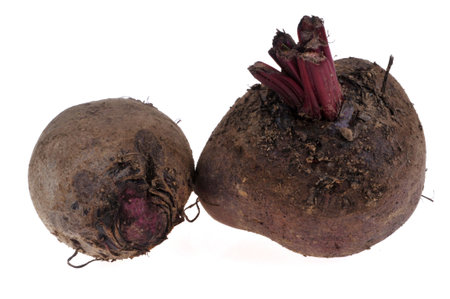 Raw beets close-up isolated on white backgroundの写真素材