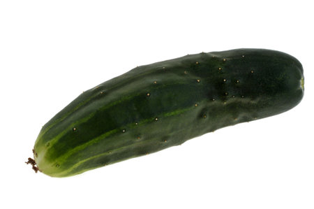 Whole Spanish cucumber close-up isolated on white backgroundの写真素材