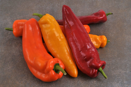 Sweet peppers of different colors close-up isolated on gray background