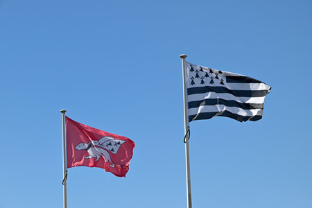 Flag of the city of Vannes and flag of the Brittany region in close-up on a blue sky backgroundの写真素材