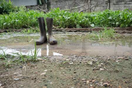old boot after coming off the farm./ use anti poisonous animals