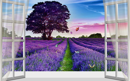 Lavender field with trees in the background and a butterfly.の写真素材