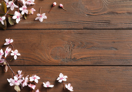 Beautiful blossoming branches on wooden background, top view. Space for textの写真素材