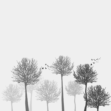 silhouette of trees and birds on white background, vector illustrationの写真素材