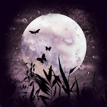 Night landscape with full moon, grass and butterflies. Hand drawn illustration.の写真素材