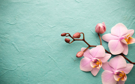 Pink orchid flowers on a turquoise background with copy spaceの写真素材