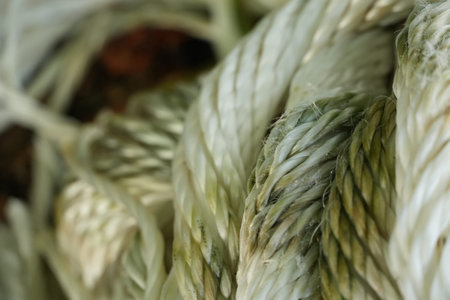 Intricate close-up of robust braided rope featuring intertwined green and white fibers, highlighting...