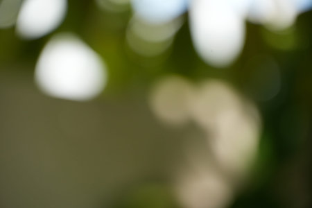 Gentle green and pale bokeh circles form a soothing abstract nature background.