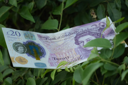 A crisp twenty pound banknote is nestled among lush green leaves.