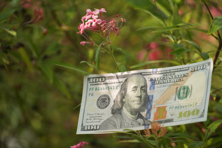 A single one hundred dollar banknote is artfully positioned within a garden of green leaves and...