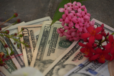 Fanned United States dollar bills are gracefully accompanied by pink and red blossoms and green buds...