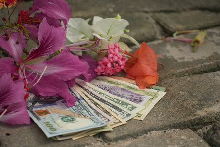 A fanned arrangement of US dollar bills and colorful flowers rests on textured paving.