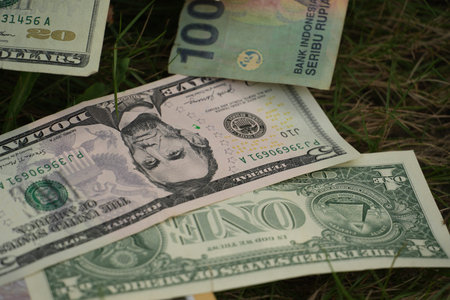 One and five dollar US banknotes are prominently featured in a close-up shot on green grass with...