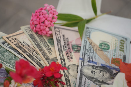 A stunning fan of US dollar bills and international currencies is complemented by a cluster of pink...