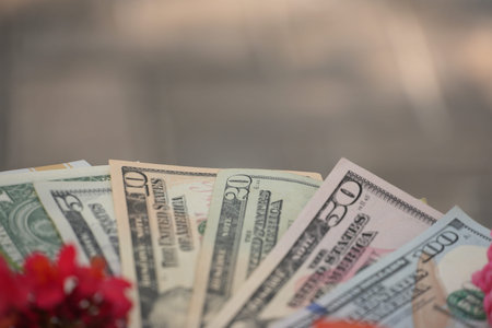 Fanned international banknotes and US dollars are subtly enhanced by soft-focus colorful flowers.