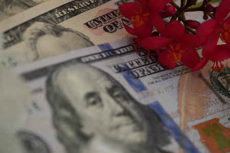 United States dollar bills are arranged with vibrant red tropical flowers.