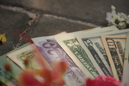 Diverse international and US dollar banknotes are fanned on bricks with blurred flowers.