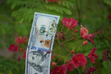 A crisp one hundred dollar bill stands upright amongst vibrant red flowers and green foliage.