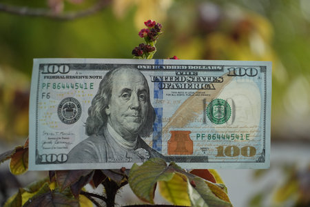 A crisp one hundred dollar bill is nestled within lush green foliage and small red buds.
