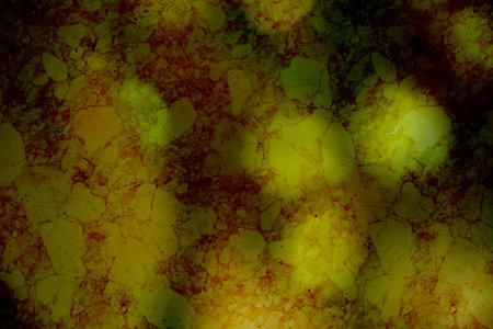 Blurred yellow lights illuminate a rich, textured green and brown abstract background.