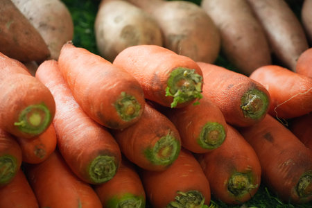 A bundle of fresh orange carrots with green tops