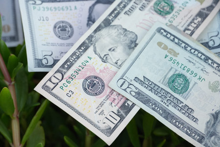 A close-up view of US dollar bills on a leafy green background