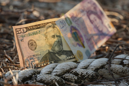A twenty dollar bill and a fifty dollar bill on the ground
