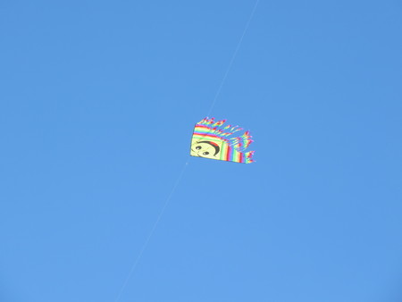 Kite in the skyの写真素材