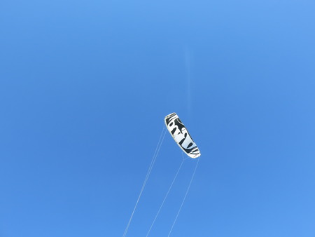 Kite in the skyの写真素材