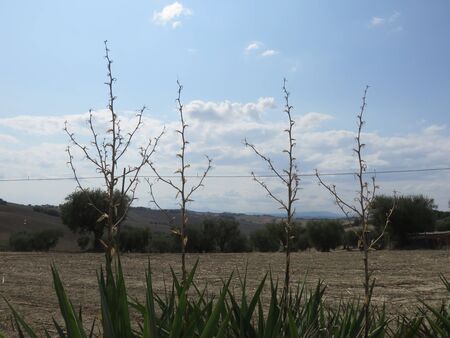 Natural landscapeの写真素材