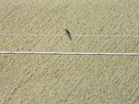 Natural landscapeの写真素材