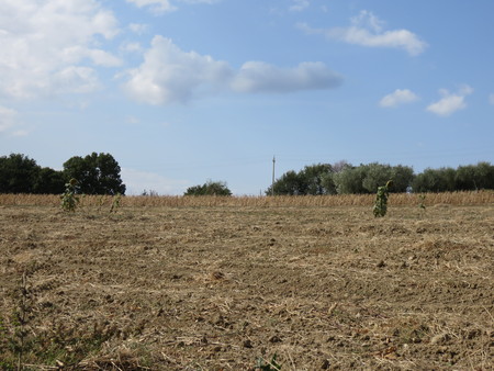 Natural Landscapeの写真素材