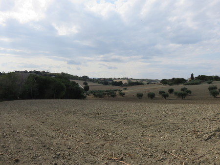 Cloudy landscapeの写真素材