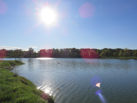 Lake in the park on a sunny summer day. High quality photoの写真素材